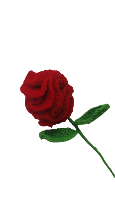 Clapjoy Handmade Crochet Carnation Flower with Stem & Leaves – Perfect for Valentine’s, Anniversary, Birthday & Home Decor. A Timeless, Elegant Gift.